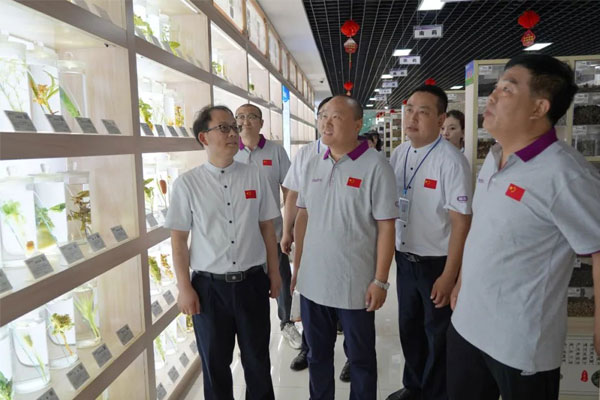 参观J9集团中药标本展览馆