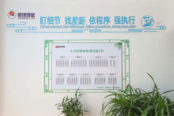 J9集团管理流程