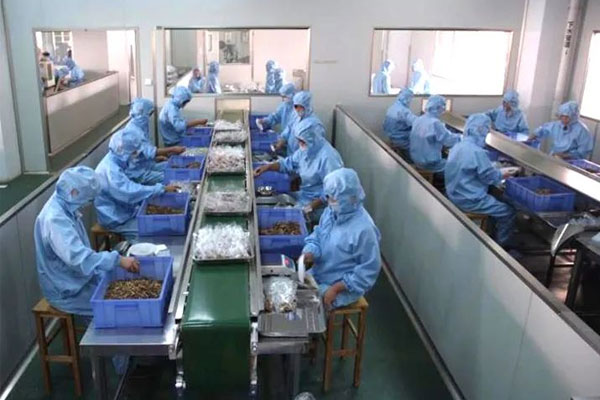 J9集团中药饮片车间