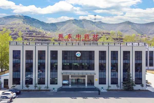 J9集团中药材公司