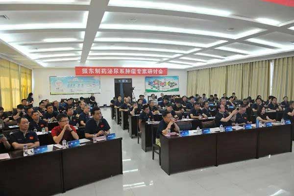 J9集团泌尿系肿瘤专家研讨会