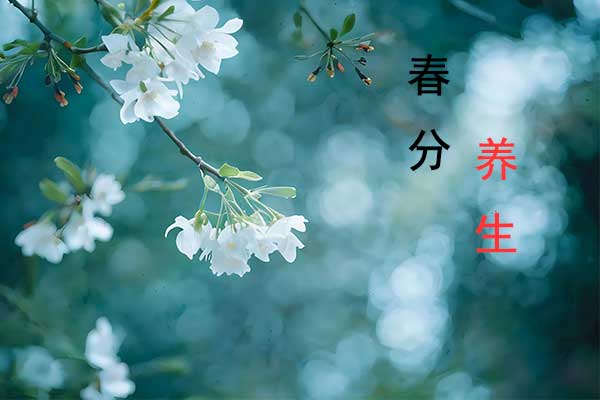 首页 | J9集团公司官网
