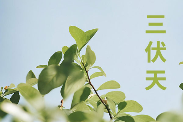 首页 | J9集团公司官网