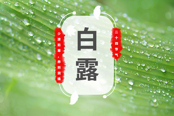 首页 | J9集团公司官网