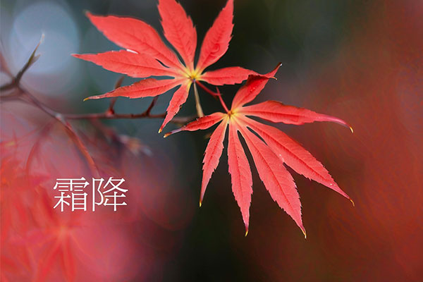 首页 | J9集团公司官网