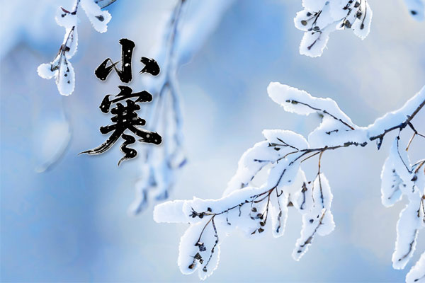 首页 | J9集团公司官网