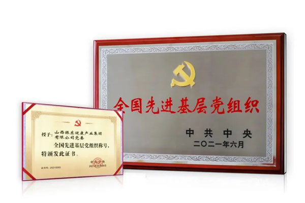 J9集团,建党105周年,党员论坛,全国先进基层党组织
